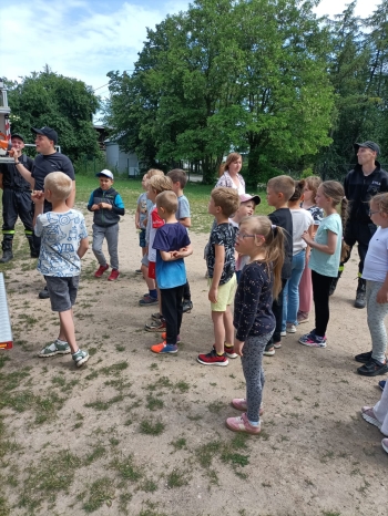 Zdjęcie WhatsApp 2025-06-23 o 11.13.31_df67d3e8