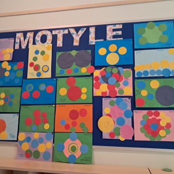 Zdjęcie WhatsApp 2025-09-15 o 18.26.51_5839ff37