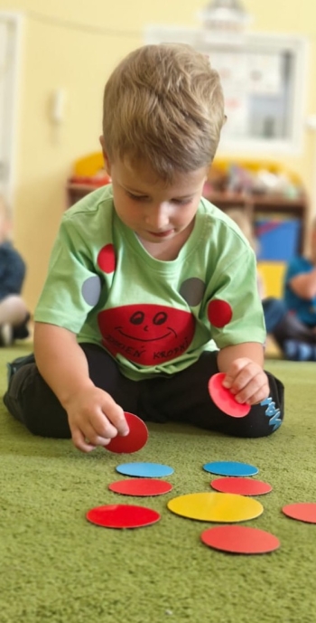 Zdjęcie WhatsApp 2025-09-15 o 19.29.07_cde99886