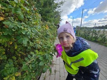 signal-2025-09-17-19-13-04-199