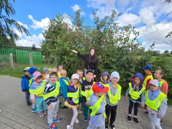 signal-2025-09-17-19-13-04-199-2