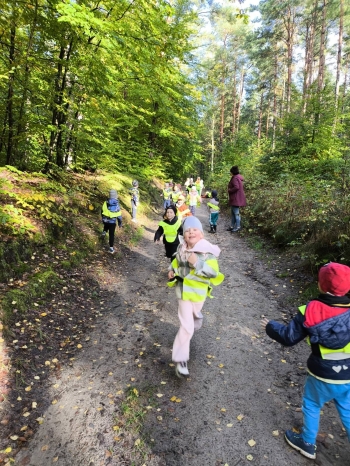 Zdjęcie WhatsApp 2025-10-10 o 23.07.20_131223ed