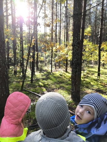 Zdjęcie WhatsApp 2025-10-10 o 23.07.21_ffe4d062