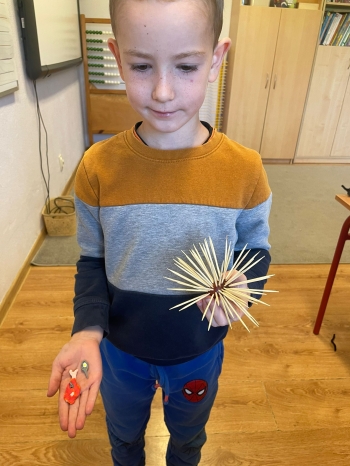 Zdjęcie WhatsApp 2025-09-30 o 23.09.06_1d085043