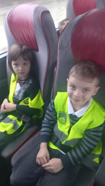 Zdjęcie WhatsApp 2025-11-28 o 22.18.44_4df8563d