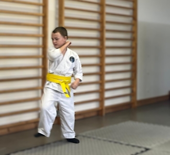 Zdjęcie WhatsApp 2025-11-20 o 20.03.16_dcb2269e