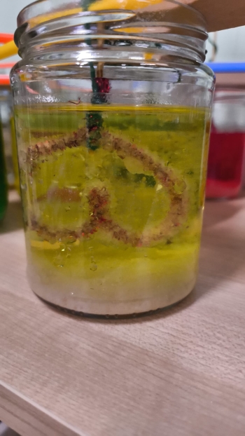 WhatsApp Image 2026-02-09 at 06.01.43.jpeg