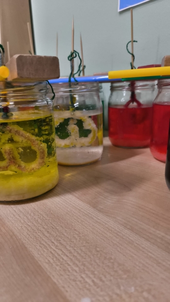 WhatsApp Image 2026-02-09 at 06.01.55.jpeg