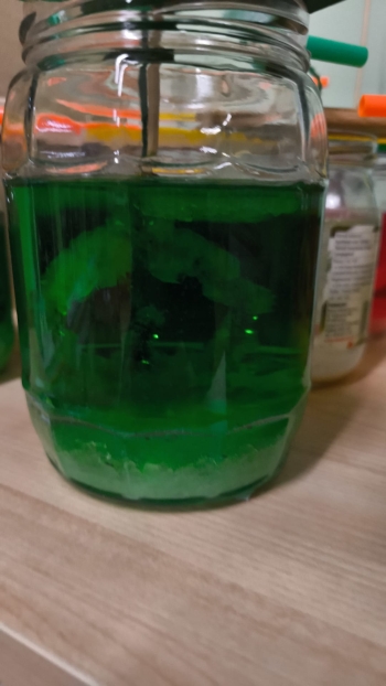 WhatsApp Image 2026-02-09 at 06.02.00.jpeg