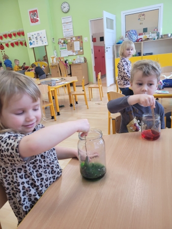 WhatsApp Image 2026-02-15 at 16.01.35.jpeg