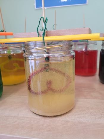 WhatsApp Image 2026-02-15 at f.jpeg