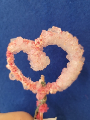 WhatsApp Image 2026-02-16 at 13.00.23.jpeg