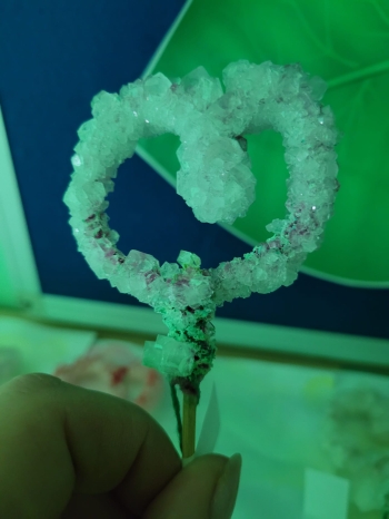 WhatsApp Image 2026-02-16 at 13.00.24.jpeg