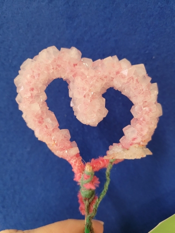 WhatsApp Image 2026-02-16 at 13.00.23N.jpeg