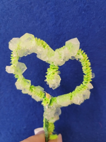 WhatsApp Image 2026-02-16 at 13.00.23G.jpeg