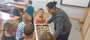 WhatsApp Image 2026-02-12 at 10.12.267.jpeg