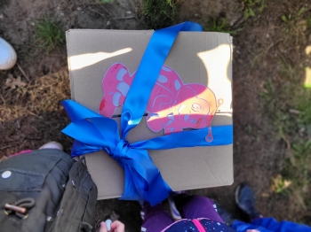 WhatsApp Image 2026-04-03 at 07.17.27.jpeg