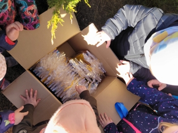 WhatsApp Image 2026-04-03 at 07.17.27j.jpeg