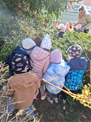 WhatsApp Image 2026-04-07 at 17.03.03.jpeg