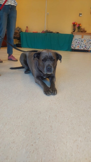 WhatsApp Image 2026-04-23 at 16.24.49 (1).jpeg