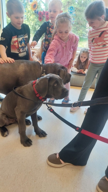 WhatsApp Image 2026-04-23 at 16.24.52 (3).jpeg