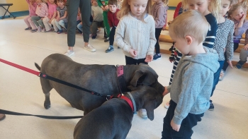 WhatsApp Image 2026-04-23 at 16.24.52 (1).jpeg