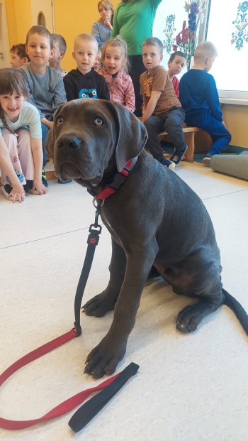 WhatsApp Image 2026-04-23 at 16.24.53 (1).jpeg