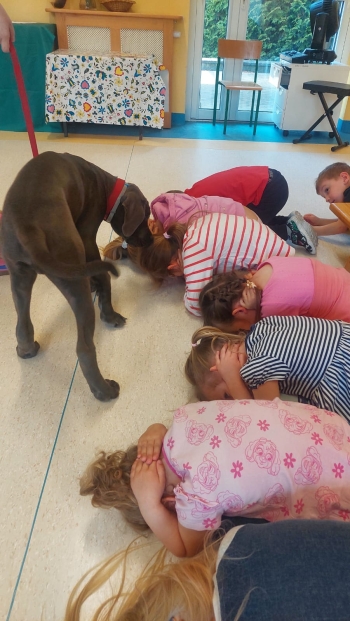 WhatsApp Image 2026-04-23 at 16.24.52.jpeg