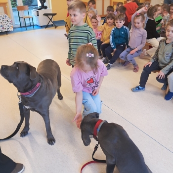 WhatsApp Image 2026-04-23 at 16.28.27 (2).jpeg