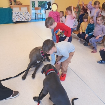 WhatsApp Image 2026-04-23 at 16.28.27 (3).jpeg