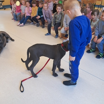 WhatsApp Image 2026-04-23 at 16.28.28.jpeg