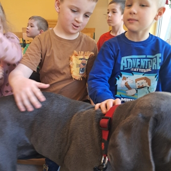 WhatsApp Image 2026-04-23 at 16.28.30 (2).jpeg