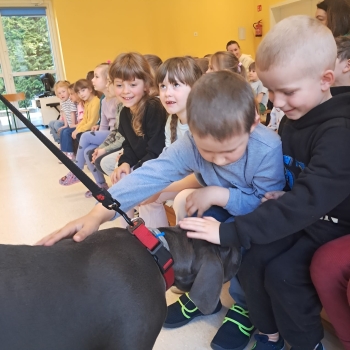 WhatsApp Image 2026-04-23 at 16.28.30 (1).jpeg