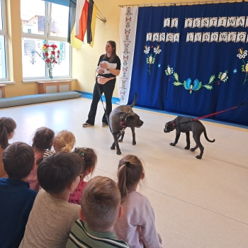 WhatsApp Image 2026-04-23 at 16.28.31 (1).jpeg