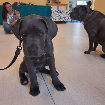 WhatsApp Image 2026-04-23 at 16.28.31 (2).jpeg