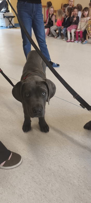 WhatsApp Image 2026-04-23 at 19.37.18 (3).jpeg