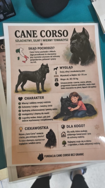 WhatsApp Image 2026-04-23 at 19.37.18 (1).jpeg