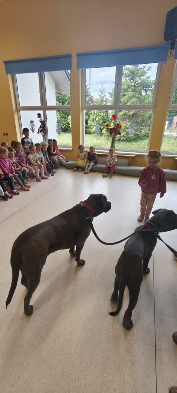 WhatsApp Image 2026-04-23 at 19.37.19 (1).jpeg