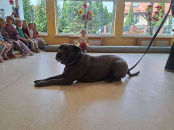 WhatsApp Image 2026-04-23 at 19.55.09.jpeg