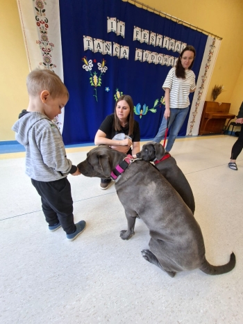 WhatsApp Image 2026-04-23 at 19.55.12 (3).jpeg