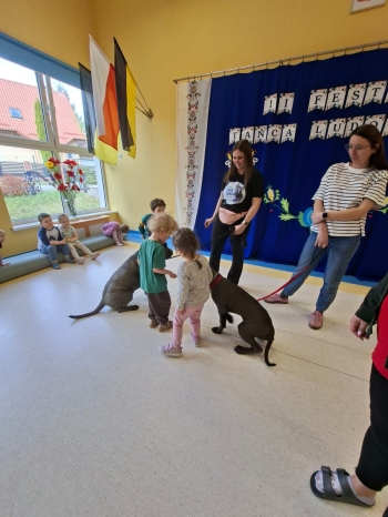 WhatsApp Image 2026-04-23 at 19.55.12.jpeg