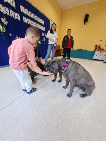 WhatsApp Image 2026-04-23 at 19.55.13 (2).jpeg