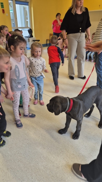 WhatsApp Image 2026-04-24 at 05.10.25 (1).jpeg