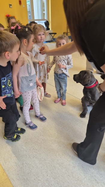 WhatsApp Image 2026-04-24 at 05.10.25 (2).jpeg