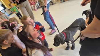 WhatsApp Image 2026-04-24 at 05.10.25.jpeg