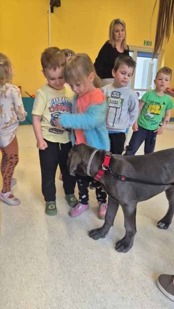 WhatsApp Image 2026-04-24 at 05.10.27 (1).jpeg