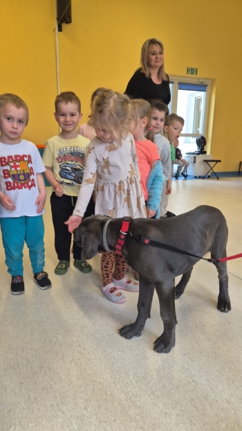 WhatsApp Image 2026-04-24 at 05.10.27.jpeg