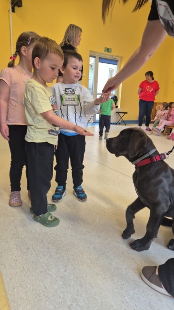 WhatsApp Image 2026-04-24 at 05.10.28 (1).jpeg