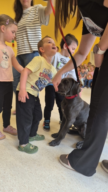 WhatsApp Image 2026-04-24 at 05.10.28 (2).jpeg