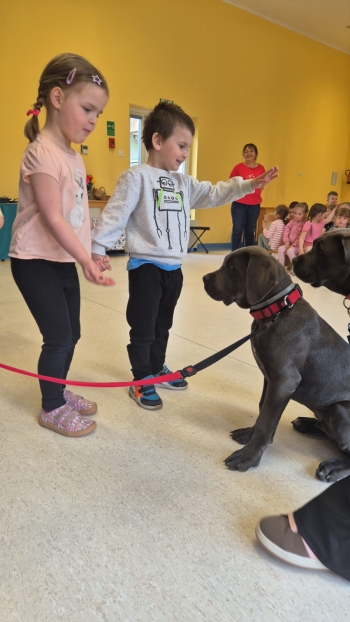 WhatsApp Image 2026-04-24 at 05.10.28 (3).jpeg